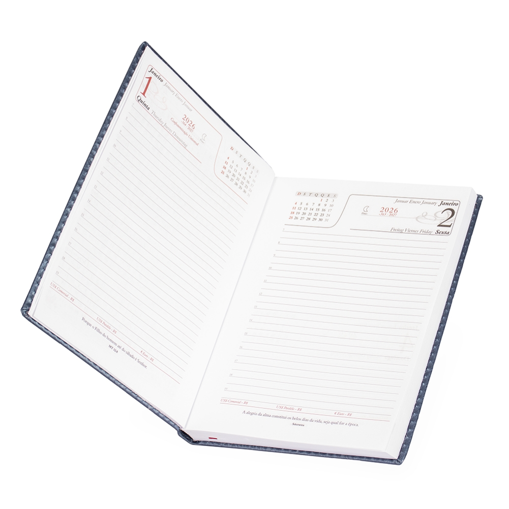 Agenda Diária 2026