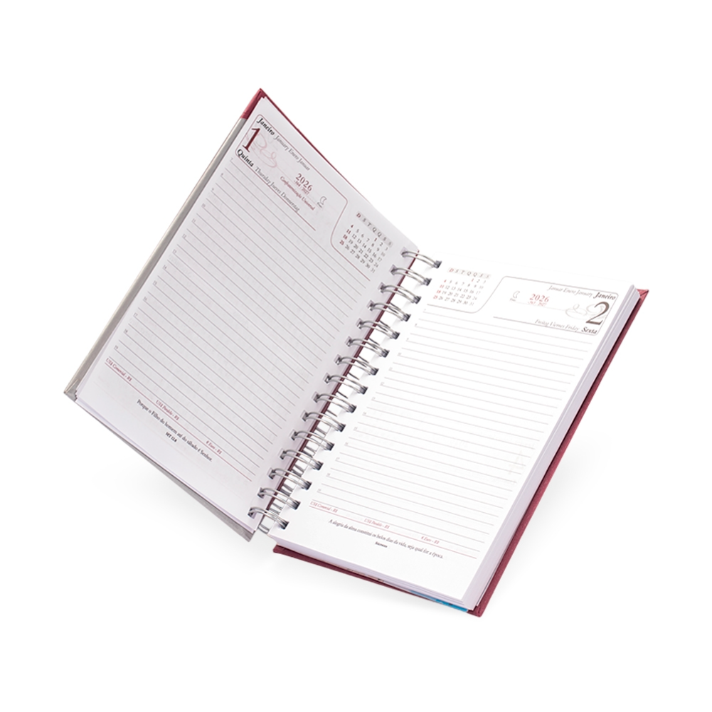 Agenda Diária 2026