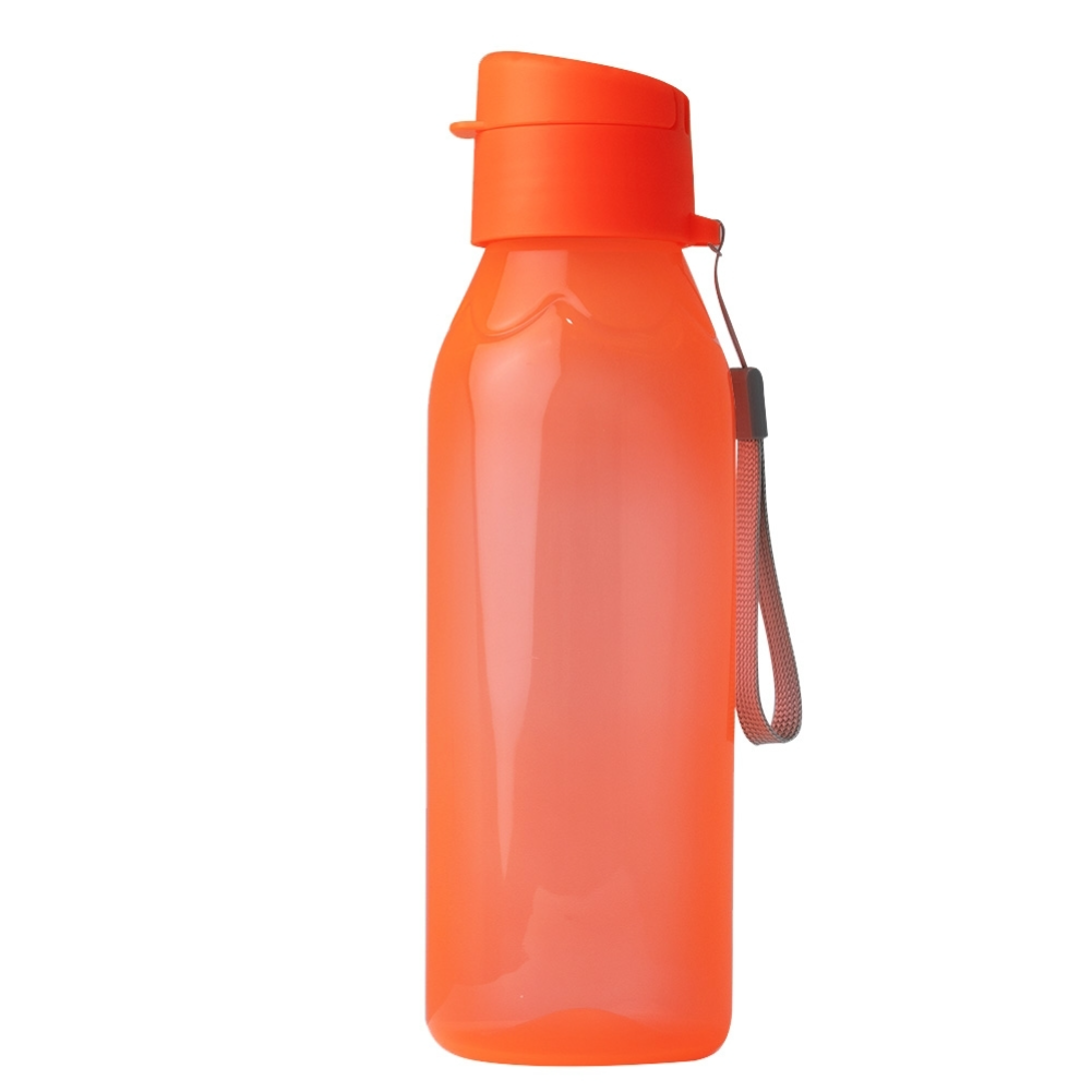 Squeeze Plástico 700ml